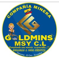 GOLDMINS logo - Similar company to Goldmines Training & Consulting
