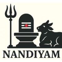 Nandiyam Private Limited logo - Similar company to Systemwebtech