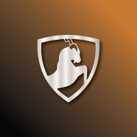 Cryptically Developers logo - Similar company to Mountain Tech