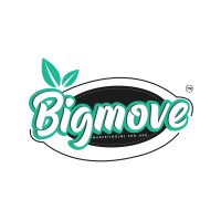 Big Move Marketing (M) Sdn. Bhd. logo - Similar company to Nohacom Network Engineering