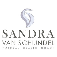 Natural Health Coach logo - Similar company to Sheconsult, Dé Expert In Coaching, Training En Leiderschap