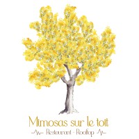 Mimosas sur le toit