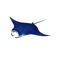 Manta Systems logo - Similar company to Manta Systems