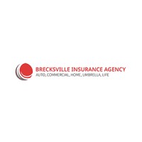 Brecksville Insurance Agency logo - Similar company to A. A. Farley Insurance Agency
