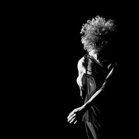 Heidi Latsky Dance logo - Similar company to Access/Vsa International Network