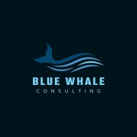 Blue Whale Consulting logo - Similar company to Bluewhale Consulting And Technologies