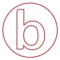 BI Studio logo - Similar company to Octiv Digital