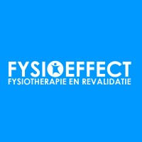 FysioEffect B.V. logo - Similar company to Fysioplein