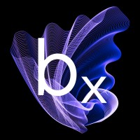 Bayesianx logo - Similar company to Bridgeflow Ai