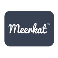 Meerkatᵀᴹ logo - Similar company to Picsa Group