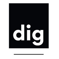 DIG ONLINE LTD