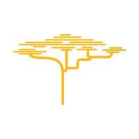 CryptoSavannah logo - Similar company to Kniht Technologies