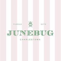 Junebug logo - Similar company to Tf Publishing