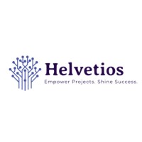 Helvetios Inc logo - Similar company to Transition Consulting Services