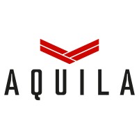 LLC AQUILA UKRAINE logo - Similar company to Soykis Solutions