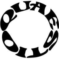 Quaestio logo - Similar company to Planetex