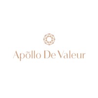 Apollo De Valeur logo - Similar company to Screl Information Technology