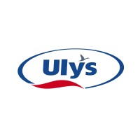 Ulys (Les magasins U de Madagascar) logo - Similar company to Vidzar