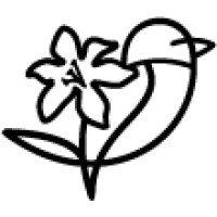 Sparrow Lily Creative