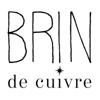 brin de cuivre logo - Similar company to Amarylice
