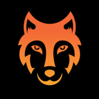 Wolfpack Financial Inc logo - Similar company to Wolfpack Financial