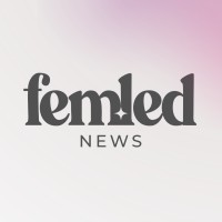 Fem-Led News logo - Similar company to Hacking The Patriarchy