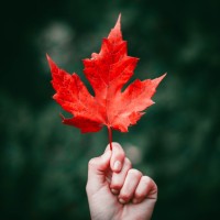 Venture Scouts Canada logo - Similar company to Stopforeclosure Canada