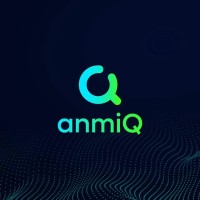 anmi Q logo - Similar company to Feelix