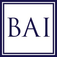 Bosnian American Institute logo - Similar company to Bih Diasporic Conference (#Bihdiaspora #Bihdc #Bosniandiaspora)