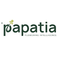 papatia inc. logo - Similar company to Rmcode Software