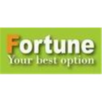 Fortune Mold industrial Limited logo - Similar company to Arlitech Electronic Corp