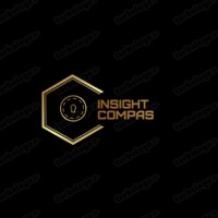 Insight Compass logo - Similar company to Vvhit Solutions