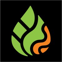 Callosum logo - Similar company to T6