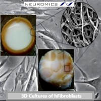 Neuromics logo - Similar company to B-Mogen Biotechnologies, Inc.