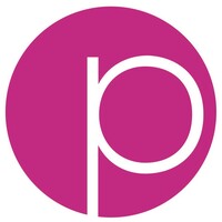 paygate logo - Similar company to Fintex Soluciones Financieras