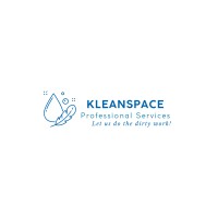 KleanSpace Professional Service logo - Similar company to Orphan Art