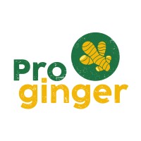 Proginger logo - Similar company to Vancard Peru Sac