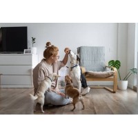 Vizara logo - Similar company to Visara