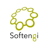 Softengi logo - Similar company to Softengi Training Center