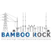 Bamboo Rock 1072 (Pty) Ltd logo - Similar company to Digmin
