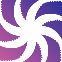 Octosoft Technologies Ltd logo - Similar company to Octosoft