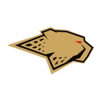 TECHEETAH Formula E Team logo - Similar company to Formula E