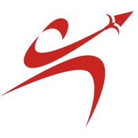 STIGES SRLS logo - Similar company to Zano Controls