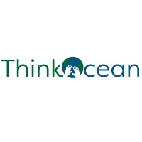 ThinkOcean logo - Similar company to Techvibes International Limited