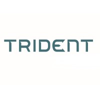 Trident Asset Management logo - Similar company to Virtuent