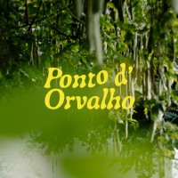 Ponto d'Orvalho logo - Similar company to Powerzada