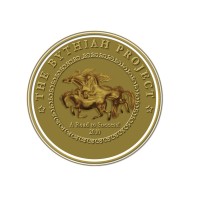 THE BYTHIAH PROJECT-TBP logo - Similar company to Car Consulting Rdc