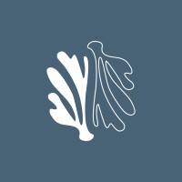LASS STUDIO logo - Similar company to Les Vrais