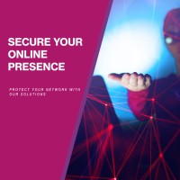 Network Security Solutions LLC logo - Similar company to Network Security Services