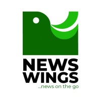 News Wings NG logo - Similar company to Teamsource Technologies